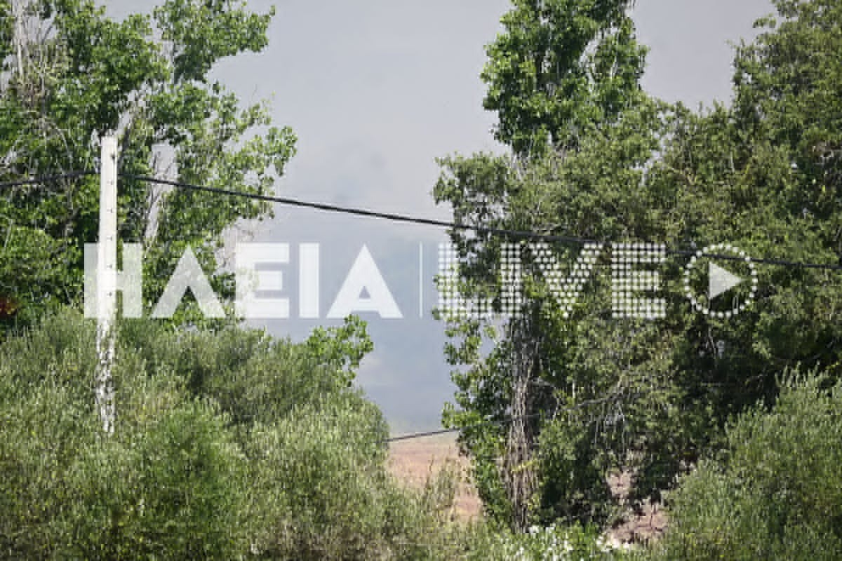 Η φωτιά στην Ηλεία