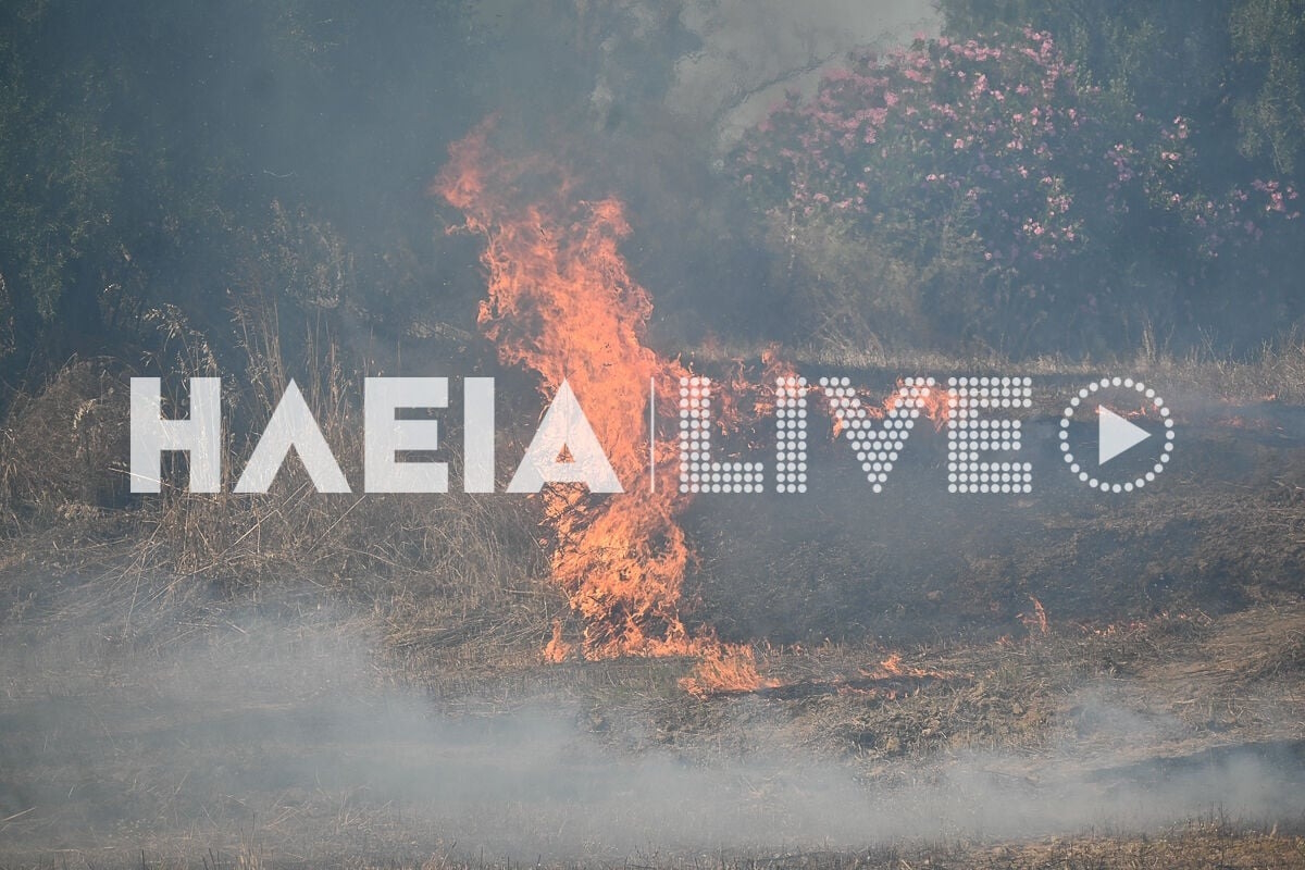 Η φωτιά στην Ηλεία