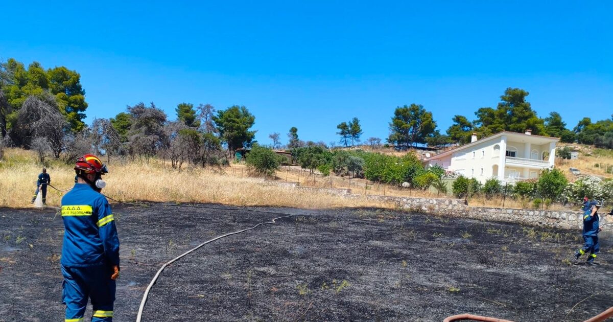 Φωτιά στη Σταμάτα σε οικόπεδο με ξερά χόρτα – Άμεση κινητοποίηση της πυροσβεστικής