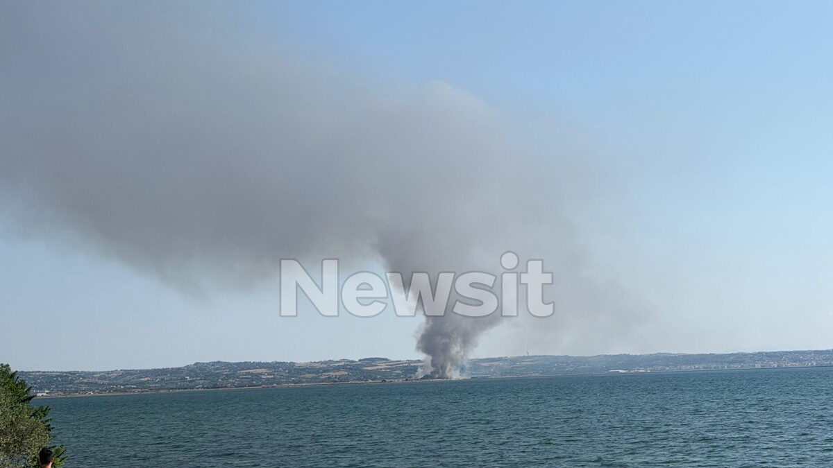 Φωτιά στην Θεσσαλονίκη, στον οικισμό Τσαίρια στην Περαία: Ήχησε το 112