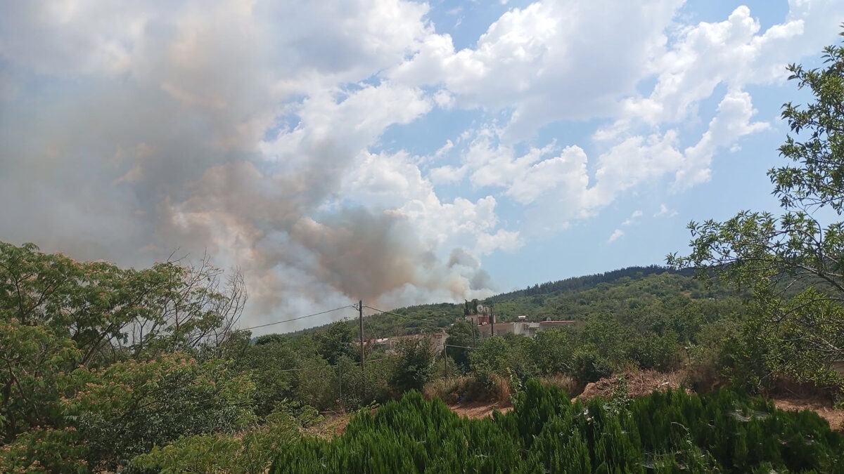 φωτιά δερβένι