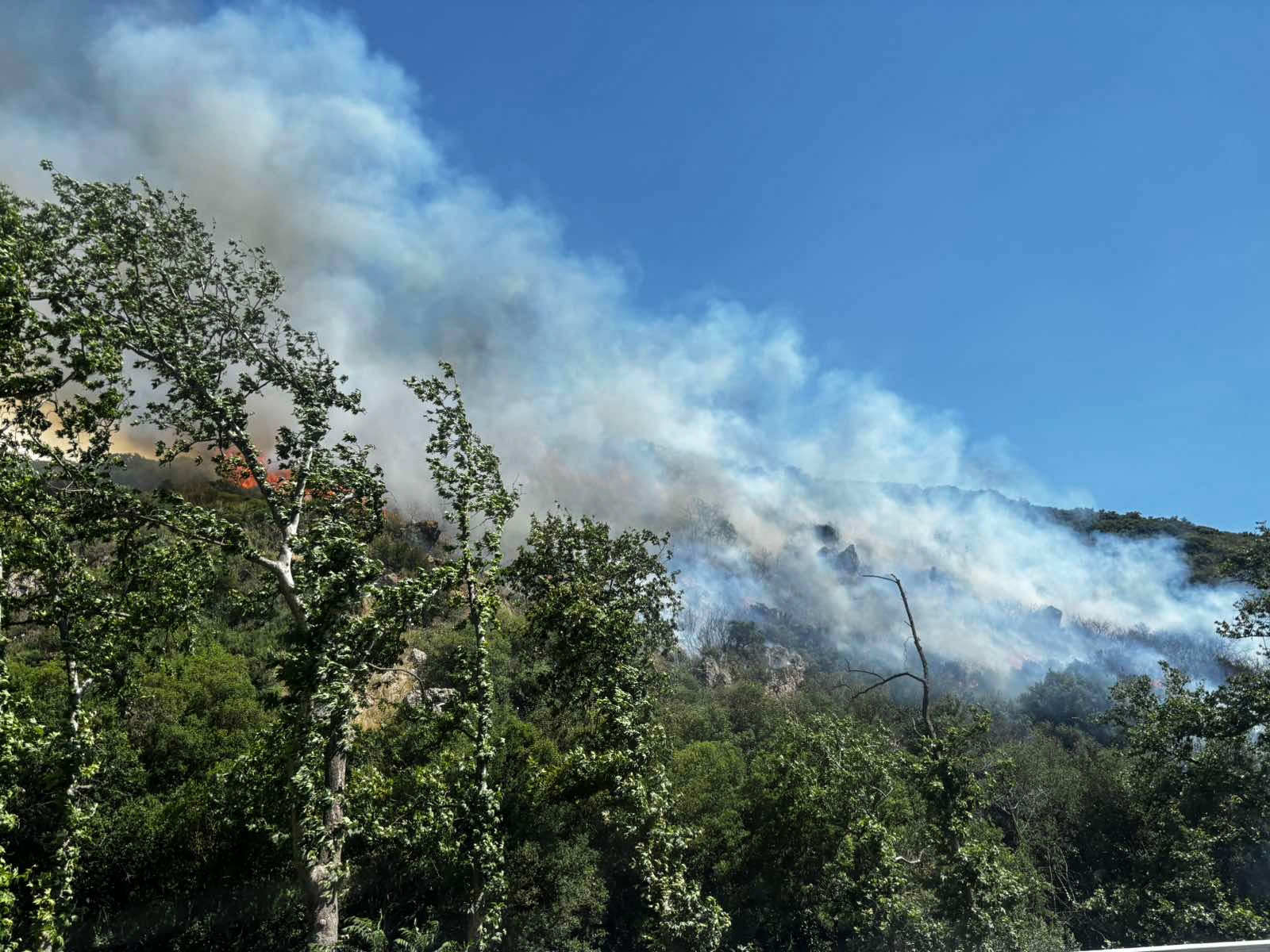 ΠΥΡΚΑΓΙΑ ΣΕ ΧΑΜΗΛΗ ΒΛΑΣΤΗΣΗ ΣΤΟ ΦΙΛΥΡΟ ΘΕΣΣΑΛΟΝΙΚΗΣ (ΣΥΝΕΡΓΑΤΗΣ/EUROKINISSI)
