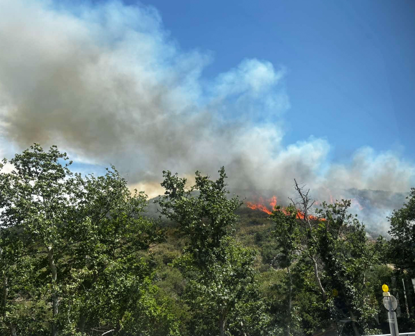 ΠΥΡΚΑΓΙΑ ΣΕ ΧΑΜΗΛΗ ΒΛΑΣΤΗΣΗ ΣΤΟ ΦΙΛΥΡΟ ΘΕΣΣΑΛΟΝΙΚΗΣ (ΣΥΝΕΡΓΑΤΗΣ/EUROKINISSI)