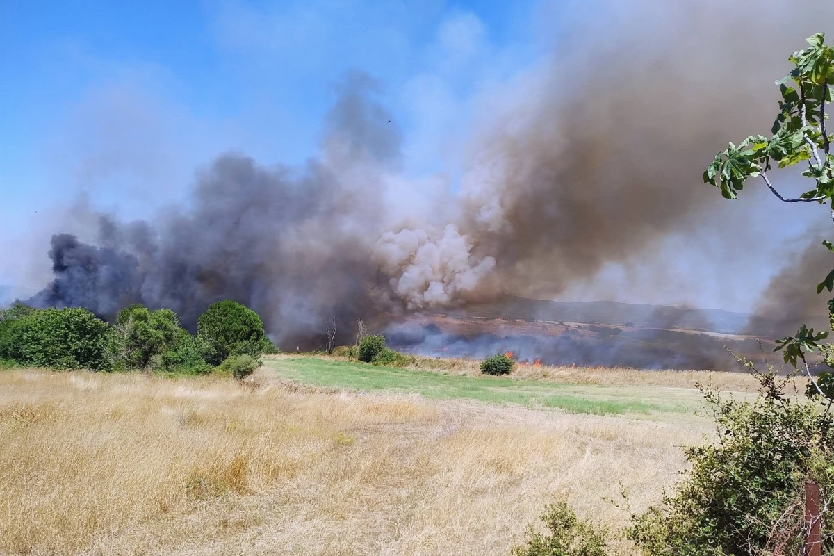 Φωτιά στη Βάρδα Ηλείας: Σηκώθηκαν εναέρια μέσα | Επικαιρότητα στο PlusTV.gr