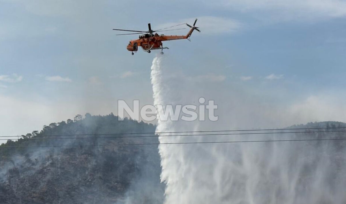 Φωτιά στο Λουτράκι: Συνελήφθη 70χρονος Γάλλος που εκτελούσε αγροτικές εργασίες με χορτοκοπτικό