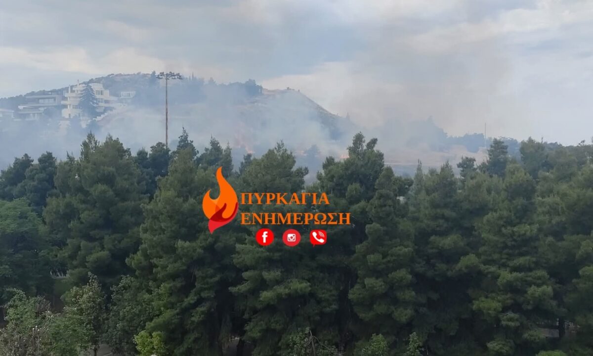 Φωτιά κοντά στο Άλσος Βεΐκου: Μεγάλη κινητοποίηση της πυροσβεστικής