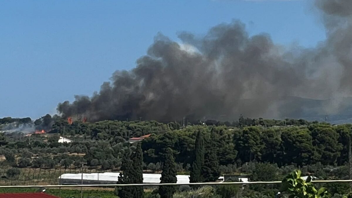 Φωτιά στην Κορινθία