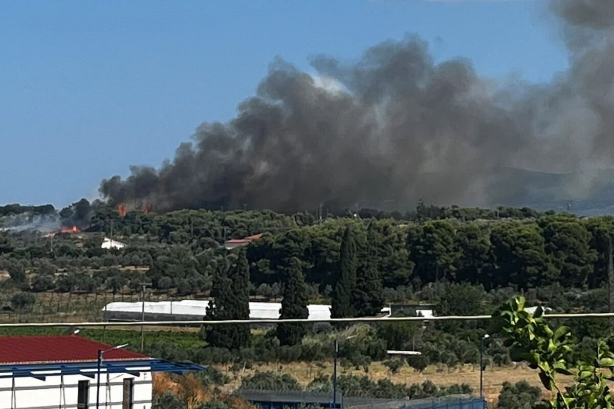 Φωτιά στην Κορινθία