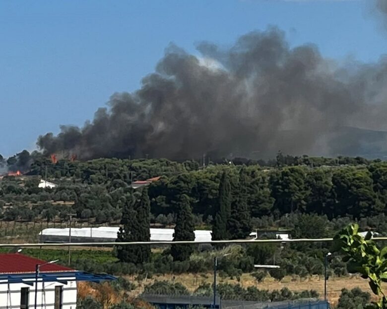Φωτιά στην Κορινθία