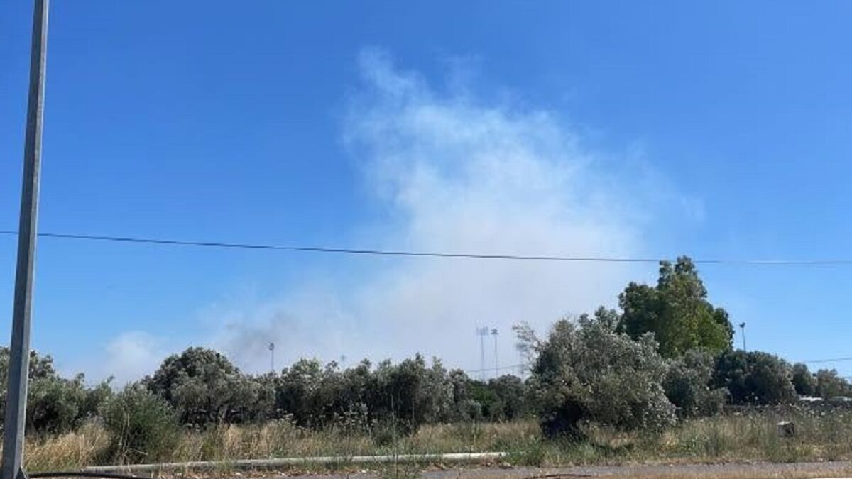 Φωτιά στη Βοιωτία