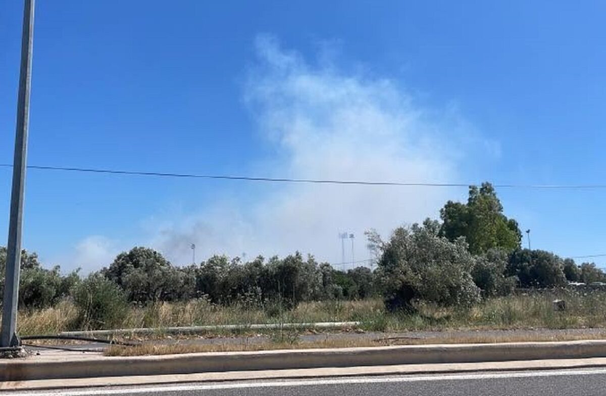 Φωτιά στη Βοιωτία