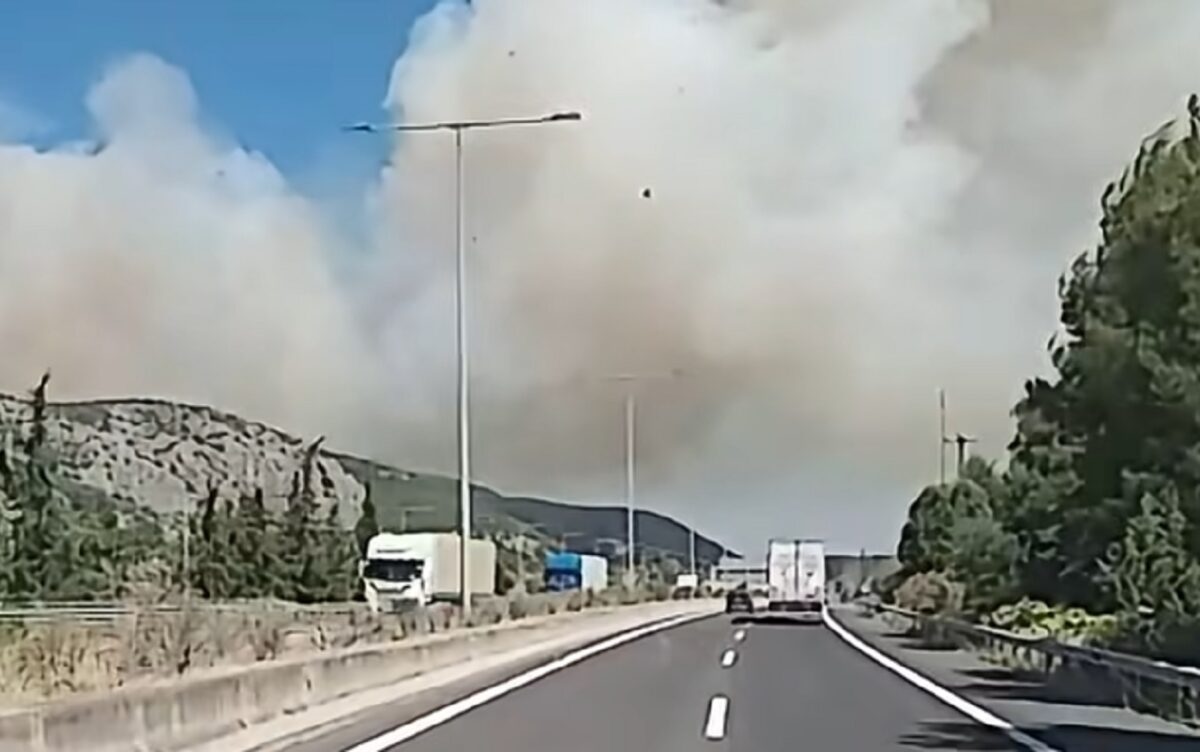 Φωτιά στο Ακραίφνιο Βοιωτίας: Έκτακτη Ειδοποίηση 112 και Αντιμετώπιση της Πυρκαγιάς