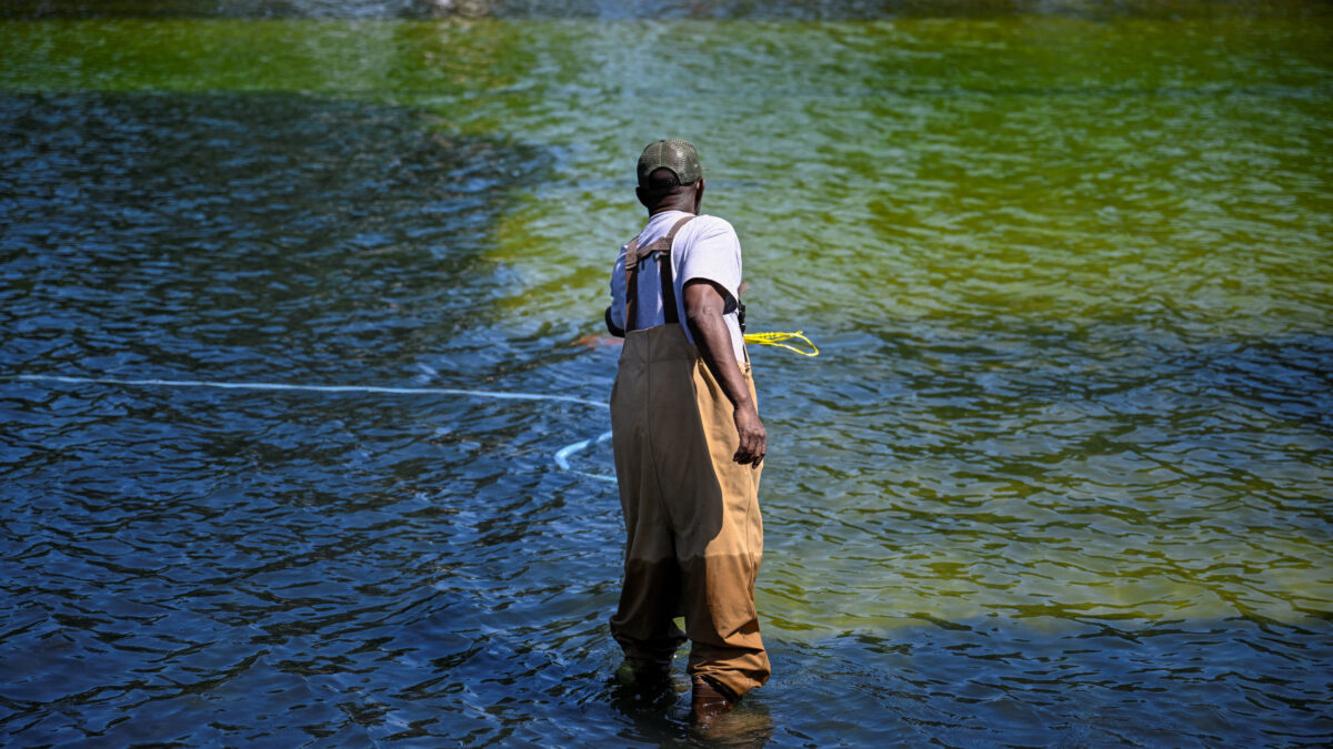 U.S. National Park Service employee works to remove algae in the Lincoln Memorial Reflecting Pool after recent renovations following a directive from U.S. President Donald Trump to paint it blue ahead of the 250th anniversary of U.S. independence, in Washington, D.C., U.S., June 20, 2026. REUTERS/Daniel Heuer