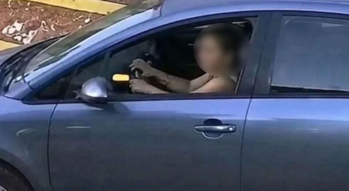 Αυτοκίνητο πάτησε και σκότωσε σκυλάκι στη Γαστούνη