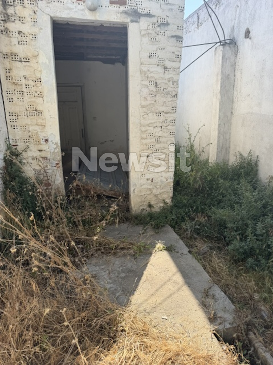Γατάκια