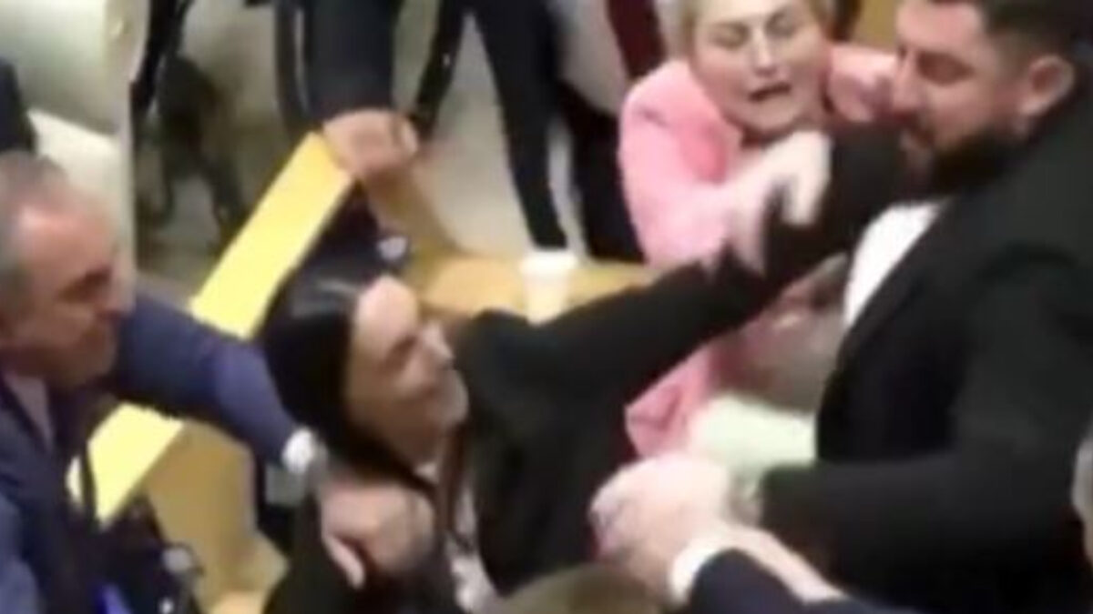 Ξύλο στο κοινοβούλιο της Γεωργίας