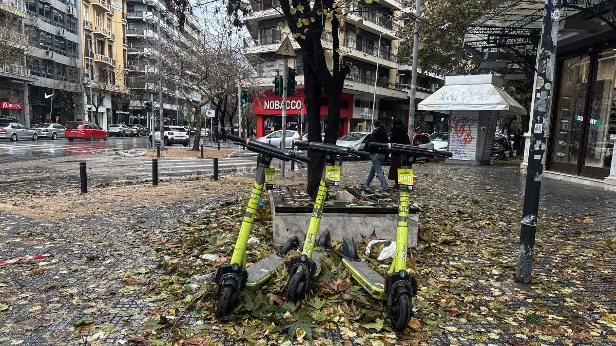 Πατίνια