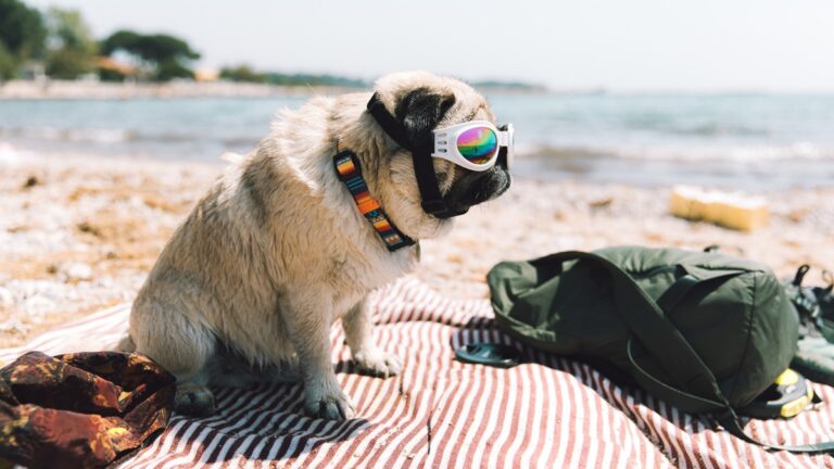 Πηγή φωτό: iStock