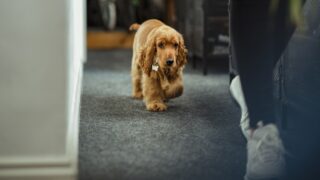 Πηγή φωτό: iStock