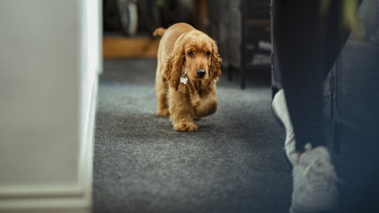 Πηγή φωτό: iStock