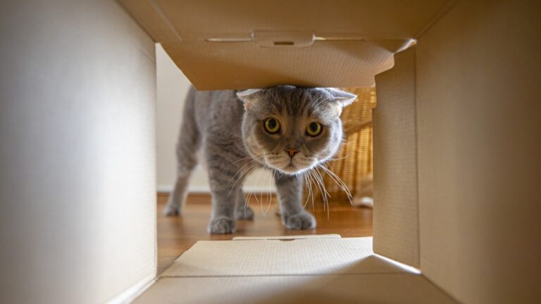 Πηγή φωτό: iStock