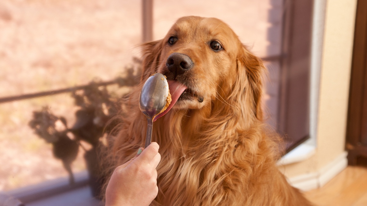 Πηγή φωτό: iStock