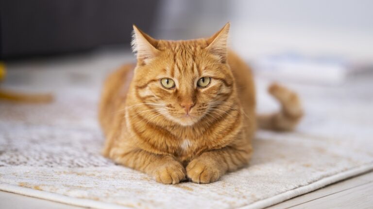 Πηγή φωτό: iStock