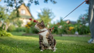 Πηγή φωτό: iStock