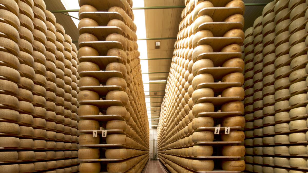 wheels of parmesan on the racks of a storehouse