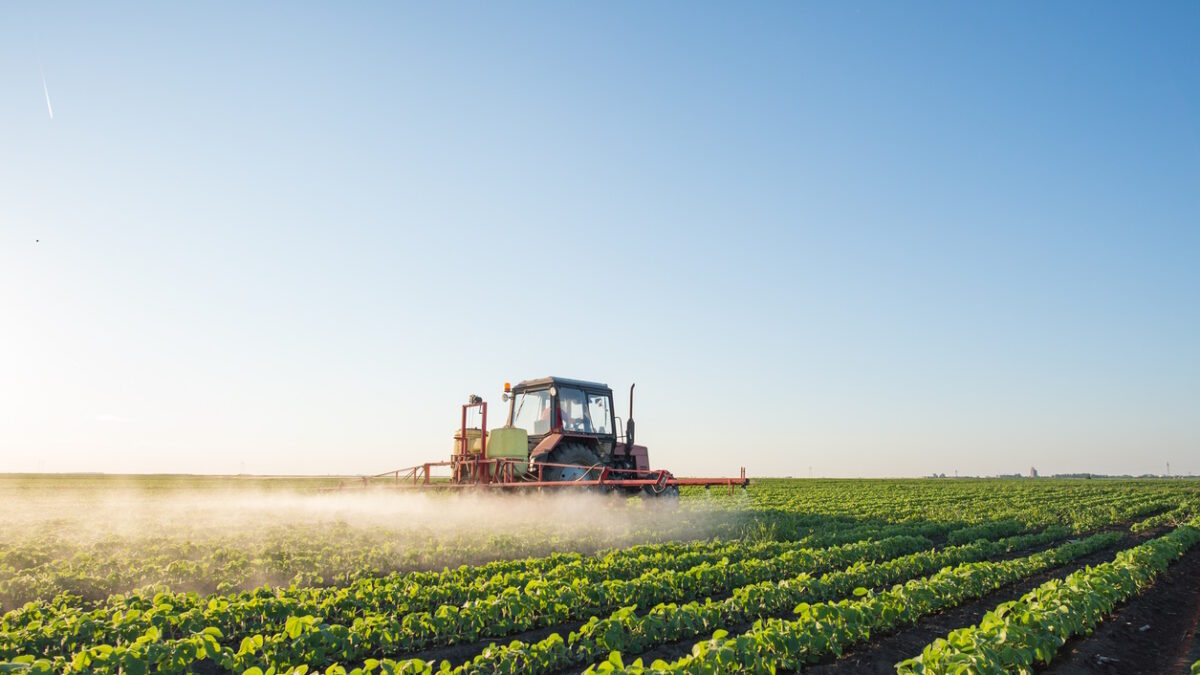 Tractor spraying soybean field at spring