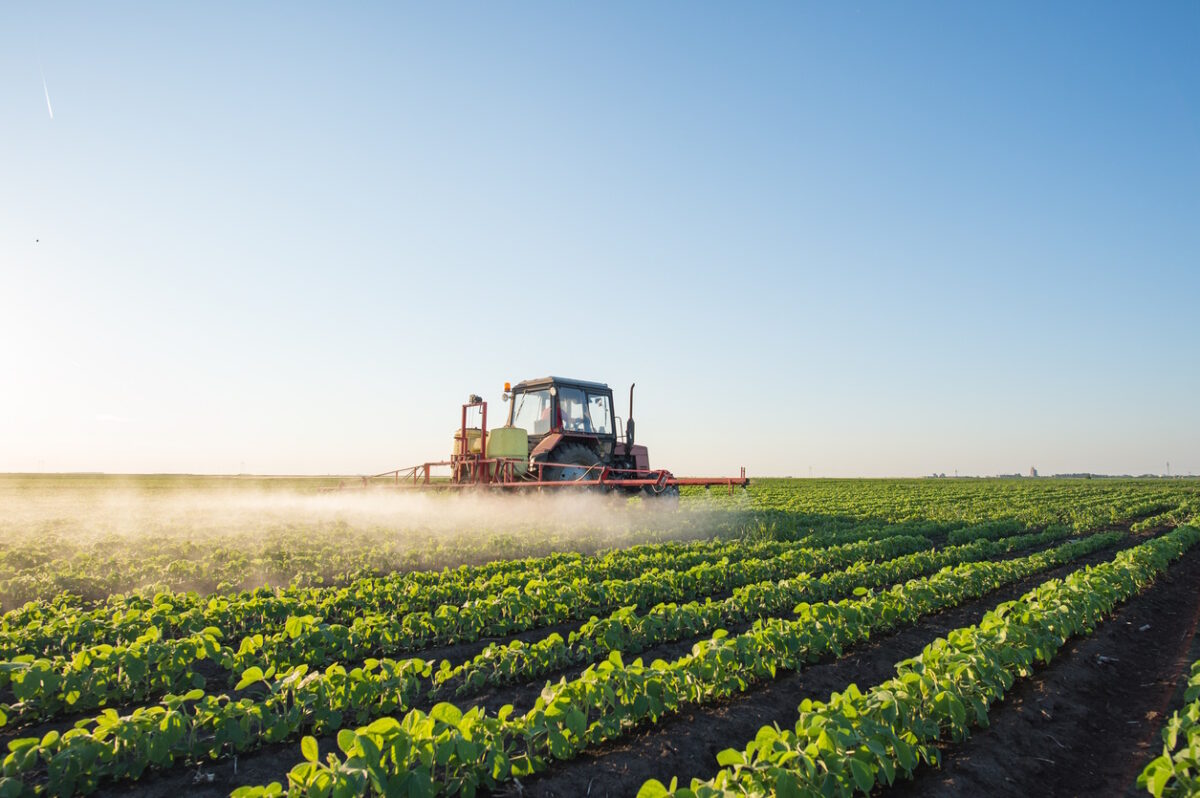 Tractor spraying soybean field at spring
