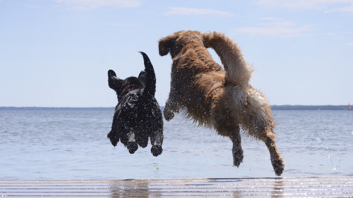 Πηγή φωτό: iStock