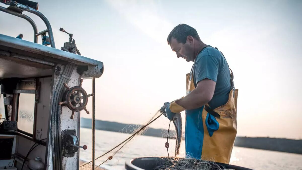 Φωτογραφία: fish farm