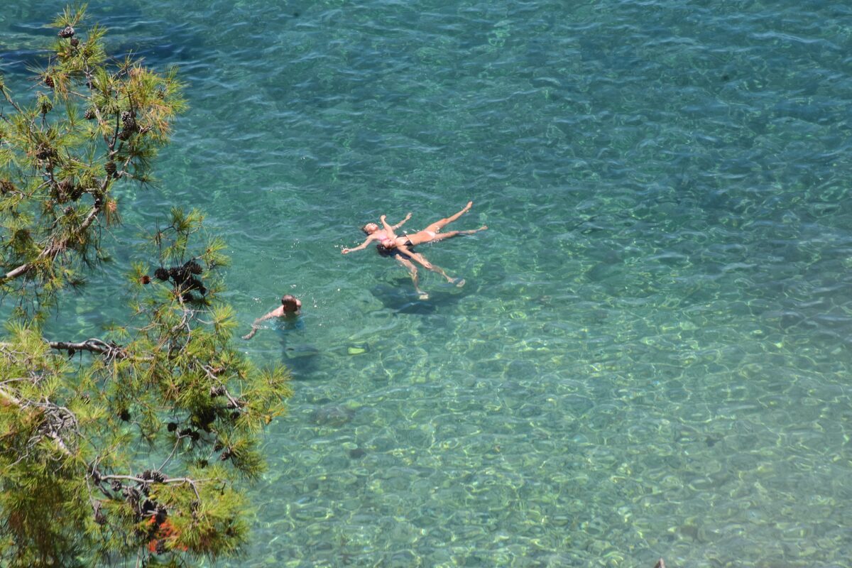 ΒΑΣΙΛΗΣ ΠΑΠΑΔΟΠΟΥΛΟΣ