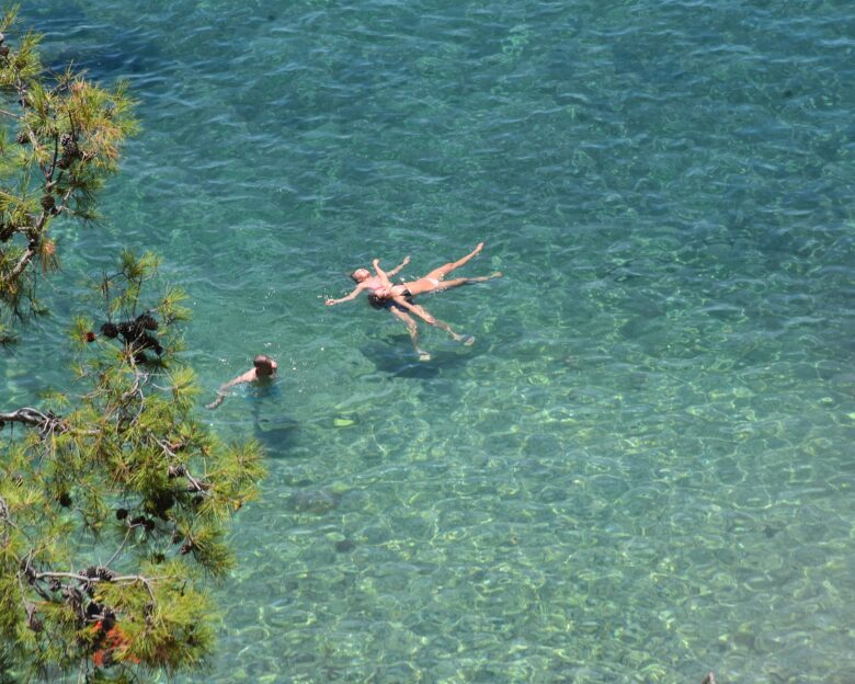 ΒΑΣΙΛΗΣ ΠΑΠΑΔΟΠΟΥΛΟΣ