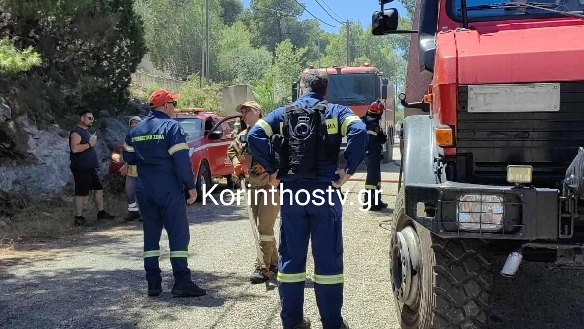 Φωτιά στο Αμόνι Κορινθίας