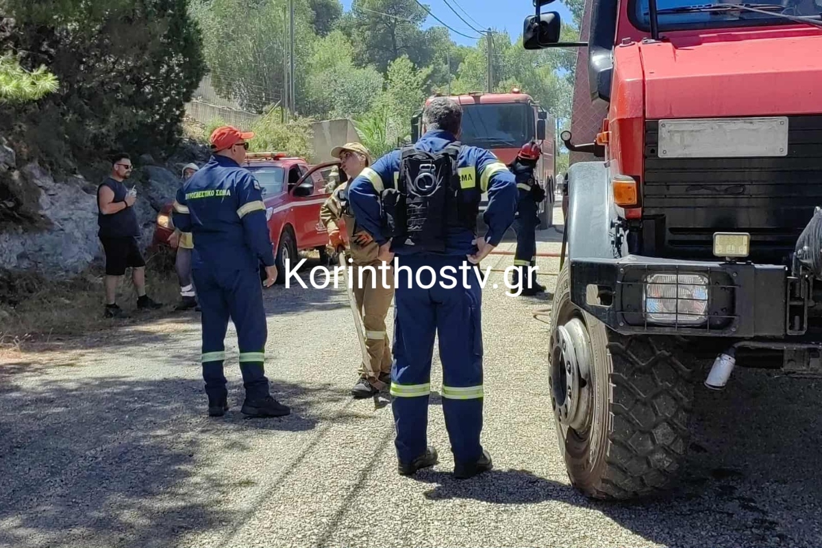 Φωτιά στο Αμόνι Κορινθίας: Συνελήφθη 76χρονος για εμπρησμό από αμέλεια | Επικαιρότητα στο PlusTV.gr
