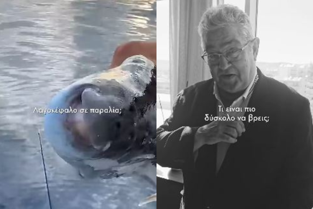 Κουτσούμπας, Tik Tok