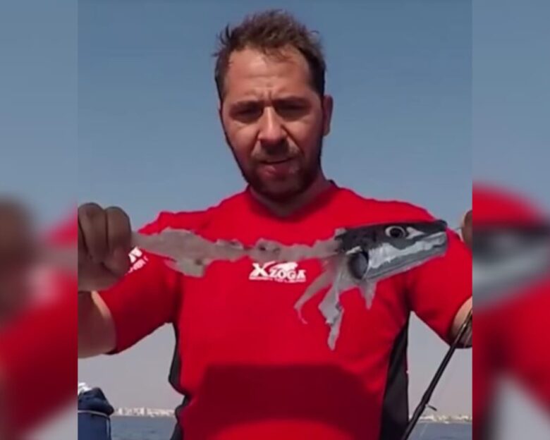 Φαγωμένος λαγοκέφαλος