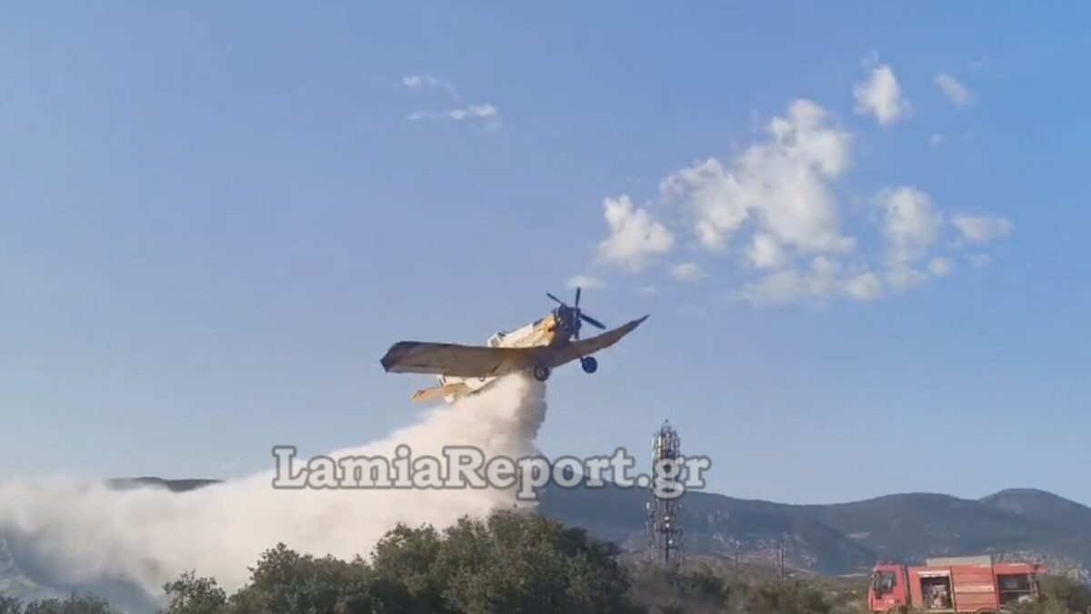 ΦΩΤΟ από το LamiaReport