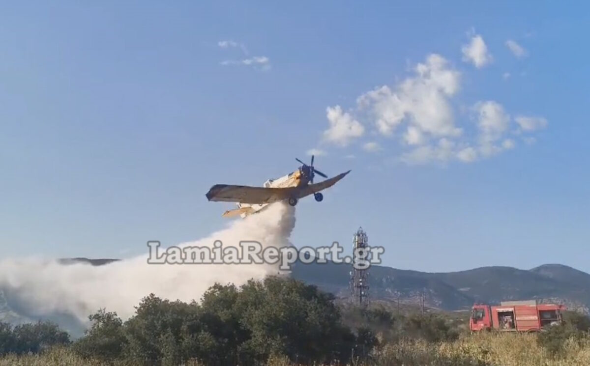 ΦΩΤΟ από το LamiaReport