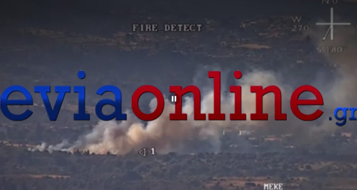 Φωτιά στη Λούτσα Ευβοίας