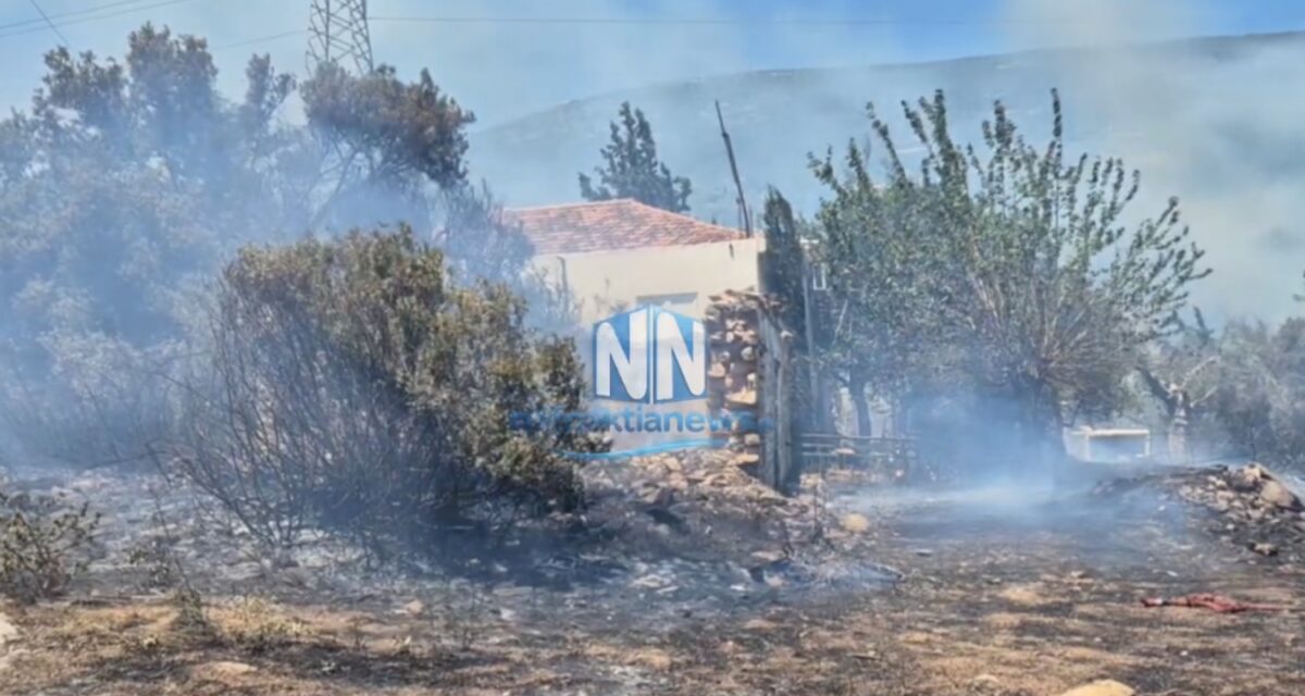 Η φωτιά εκδηλώθηκε λίγο μετά τις 13:30, στην Κάτω Μαμουλάδα Ναυπάκτου Αιτωλοακαρνανίας