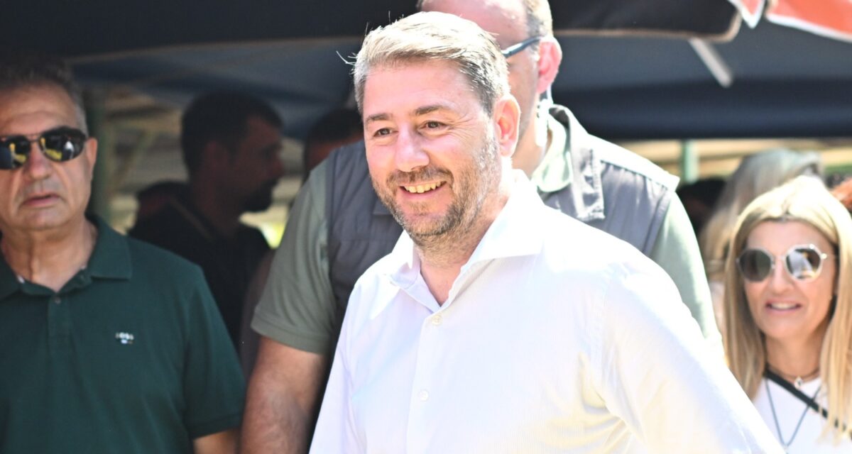 Ο Νίκος Ανδρουλάκης