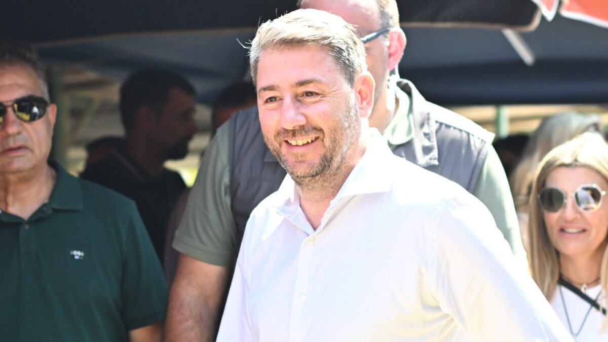 Ο Νίκος Ανδρουλάκης