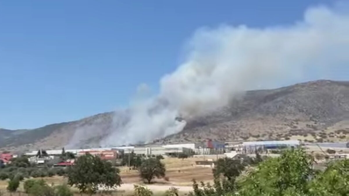 Η φωτιά στον Ασπρόπυργο