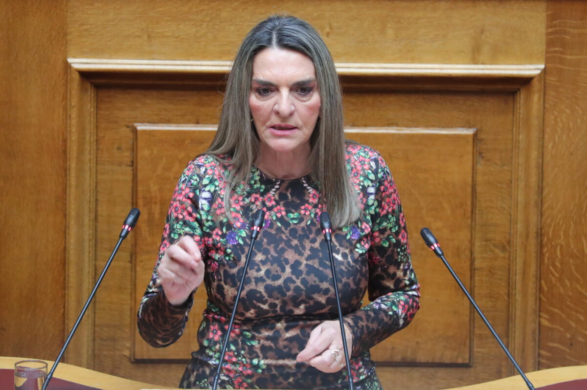 Πέτη Πέρκα, Νέα Αριστερά