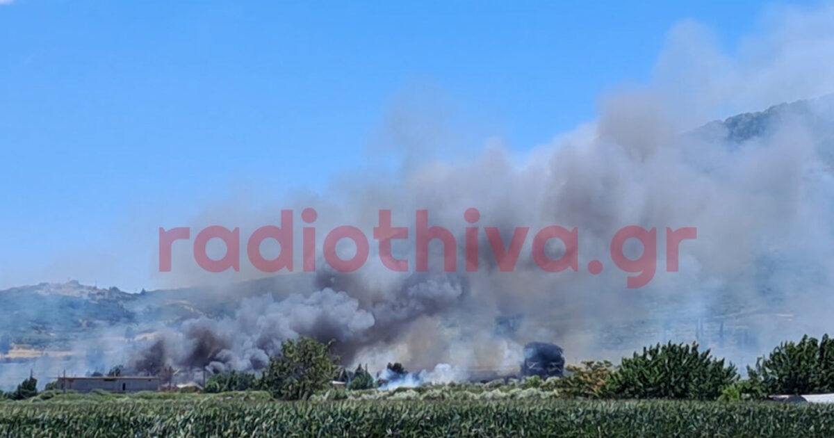 Φωτιά στην Πέτρα Βοιωτίας: «Απομακρυνθείτε προς Λιβαδειά» το μήνυμα του 112 – Η φωτιά μπήκε στο χωριό