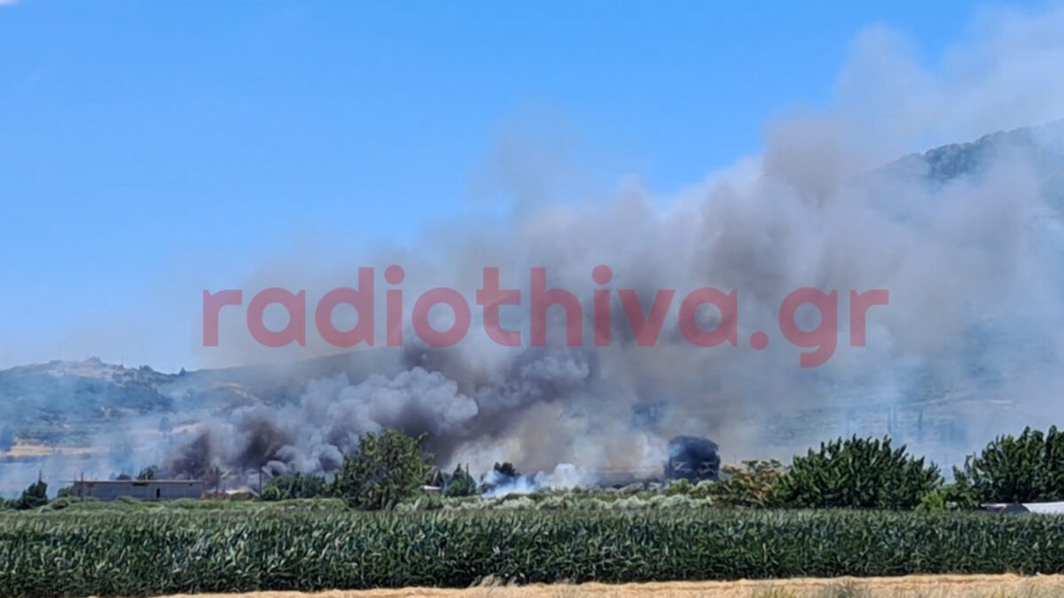 Φωτιά στην Πέτρα Βοιωτίας