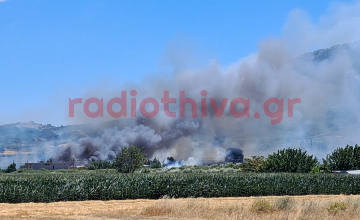 Φωτιά στην Πέτρα Βοιωτίας
